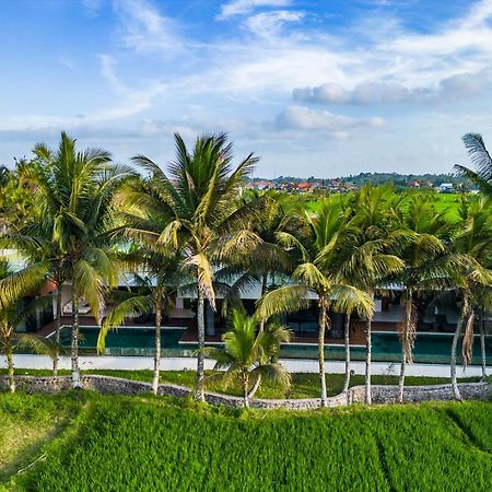 Green Flow Ubud Villa 20 Ngoại thất bức ảnh