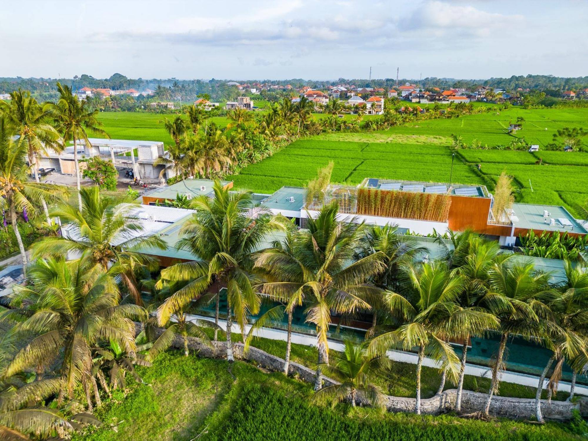 Green Flow Ubud Villa 20 Ngoại thất bức ảnh